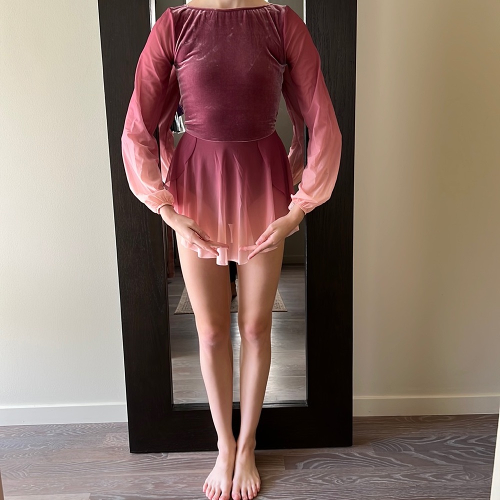 Pink ombré ballet costume in mesh and velvet